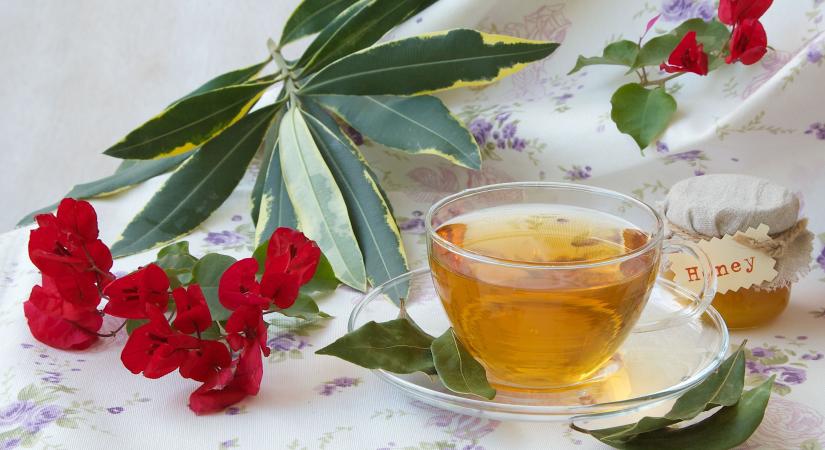 Babérlevél tea: mire való és hogyan kell elkészíteni?