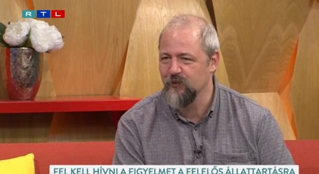 Tombolán nyerte a gyémántgyűrűt Hanga Zoltán, amivel megkérte kedvese kezét