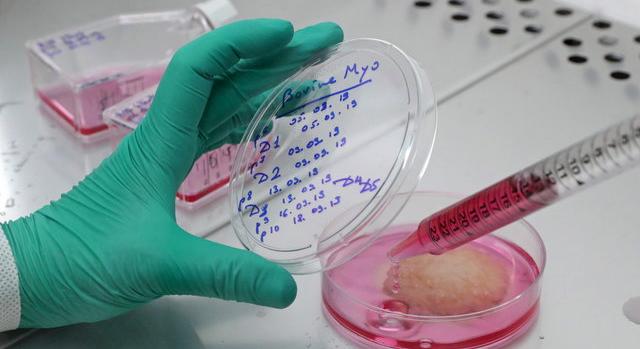 Olaszországban máris betiltották a laboratóriumban előállított húst