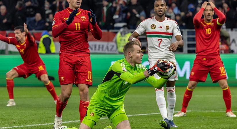 Válogatott: Legalább az olaszokat megúsztuk... – Dibusz Dénes