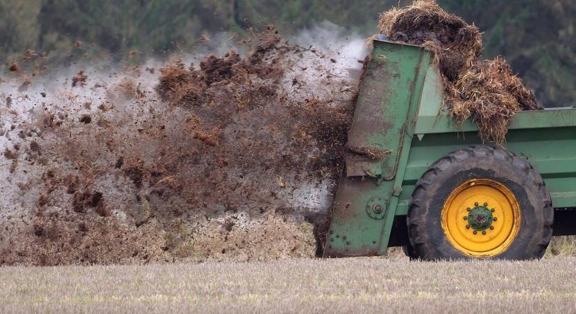 Szerves trágyák jelentősége és használata a zöldségtermesztésben, IV. (Érettség, trágyaadagok, kihelyezésük és talajba munkálásuk – mint gyakori termesztői kérdések)