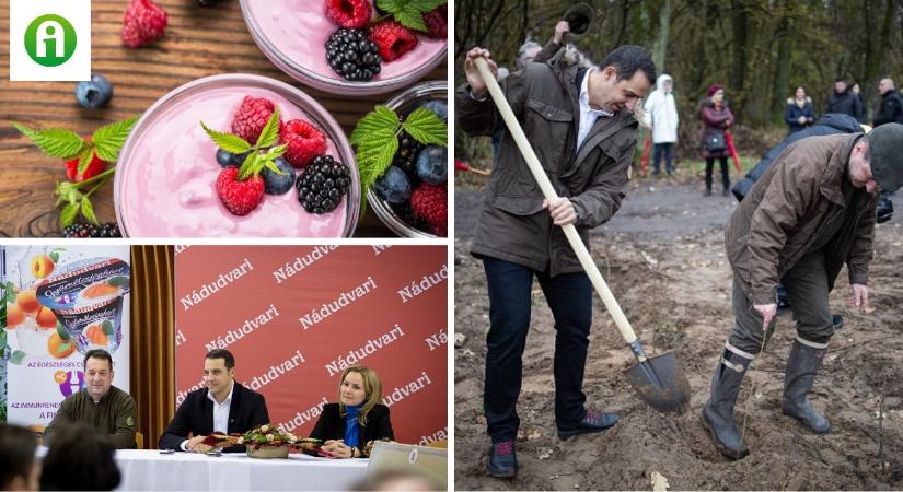 Így lesz a joghurtból erdő