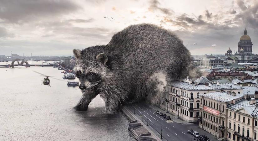Szentpétervár és a mosómedve-godzilla: Vadim vad világa