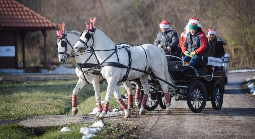 Lódobogás közepette érkezett a demjéni Mikulás
