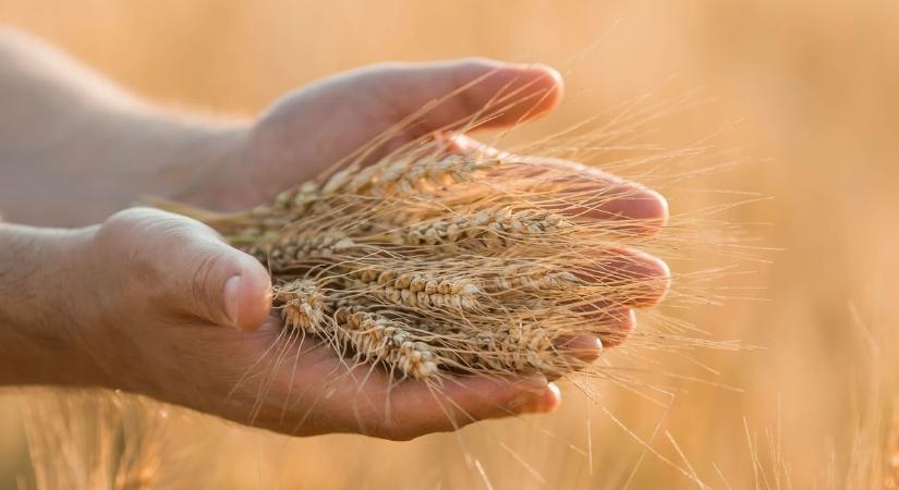 Agrárkérdések lesznek a középpontban a hercegszántói rendezvénysorozaton