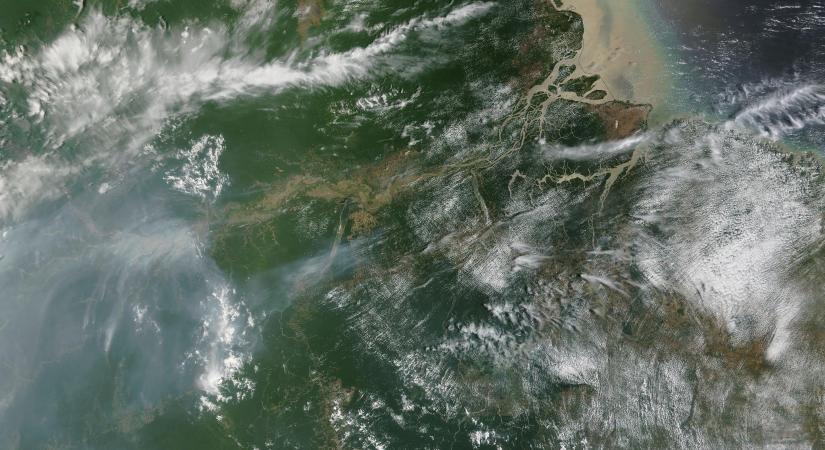 A klímaválság már most drasztikus sújtja az Amazonas élővilágát
