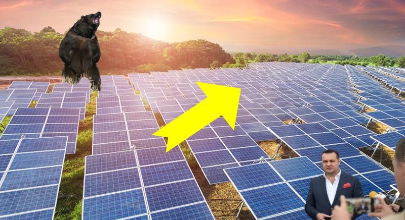 Vadászokra támadt egy medve. Napenergia-boom lesz Romániában – vasárnapi hírmix
