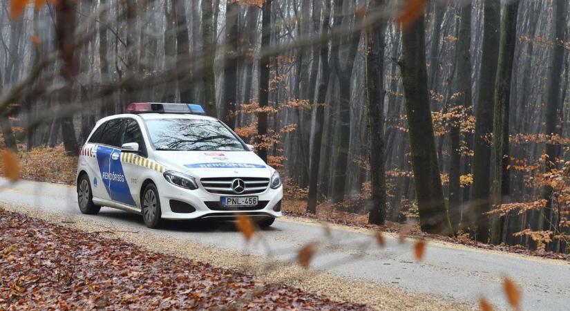 Eltűnt egy 81 éves zirci férfi - rendőrök, polgárőrök, önkéntesek indultak a keresésére