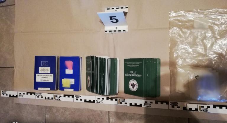 Egy állatorvos és társai ellen emelt vádat az ügyészség korrupció miatt