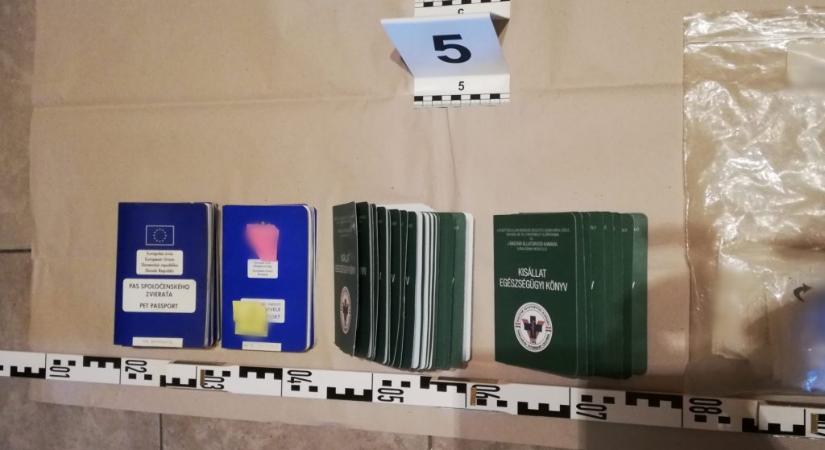 Letöltendőt kértek egy hatósági állatorvosra és több társára