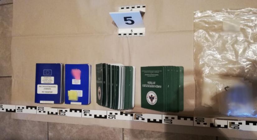 Állatorvosok és kutyakereskedők hálózatát kapcsolták le