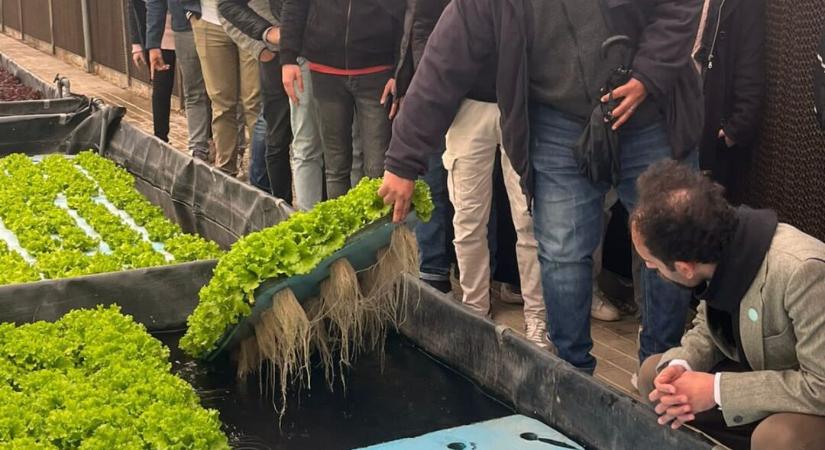 Egyiptom válasza a vízhiányra