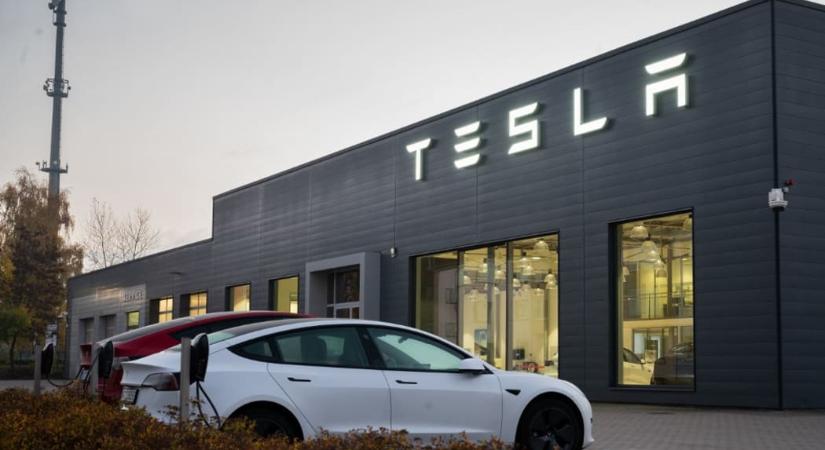 Egy volt Tesla-dolgozó szerint emberkíséretet zajlik a közutakon