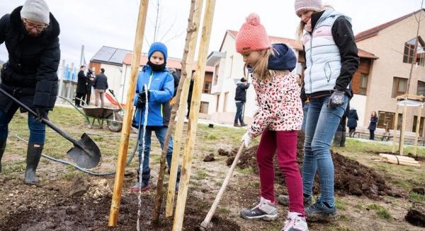 biológiai sokféleséget támogató kis parkokra pályázhatnak az iskolák és óvodák