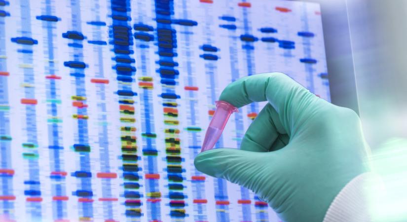Közel 7 millió ember DNS-adatait lopták el a legnépszerűbb házi genetikai teszteket kínáló 23andMe oldaláról