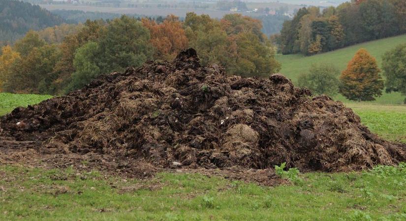 Rovarokból készült trágya jelenthet megoldást a talajromlásra?
