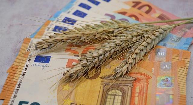 BMI: Mérsékelt felívelés novemberben