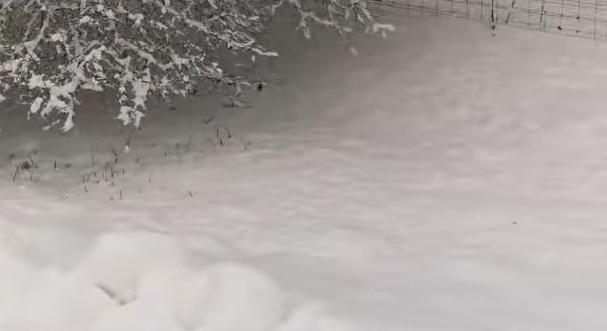 Már térdig ér a hó Kaposvár környékén – videó