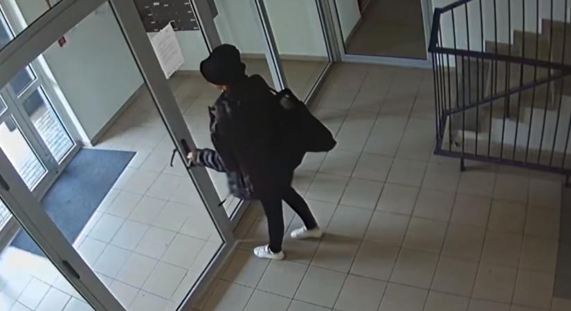 Áll az alku: 100 ezer euró lapult a bőröndben, amit egy pozsonyi lakásból lopott el egy nő - videó