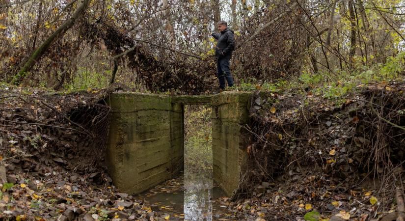„A fenntarthatóság záloga ugyanis ha tetszik, ha nem, a haszon”