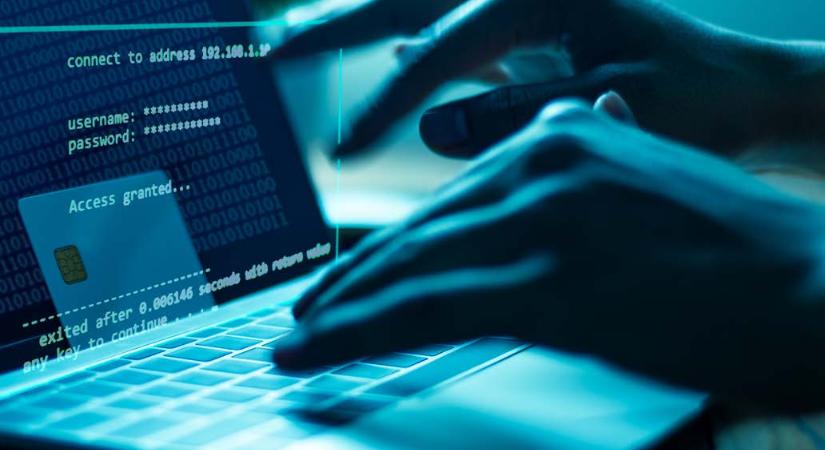 A magyarok fele azt sem tudja, hogy a hackereket eszik vagy isszák