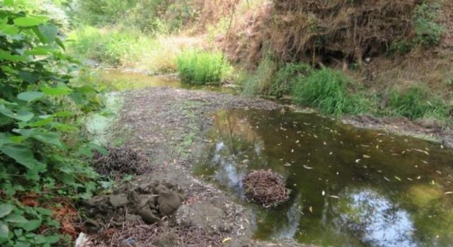 Százával hullottak az állatok az életéért küzdő Tarna pataknál – egy borászat szivattyúzta belőle a vizet