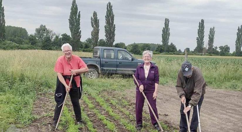 Közösségi karitász-kert sarjadt Szanyban