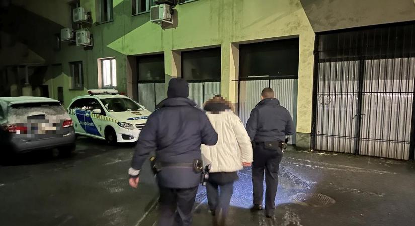 Elkapták a solymári ámokfutót, aki két, a zebrán átkelő gyalogost gázolt el BMW-jével – videó