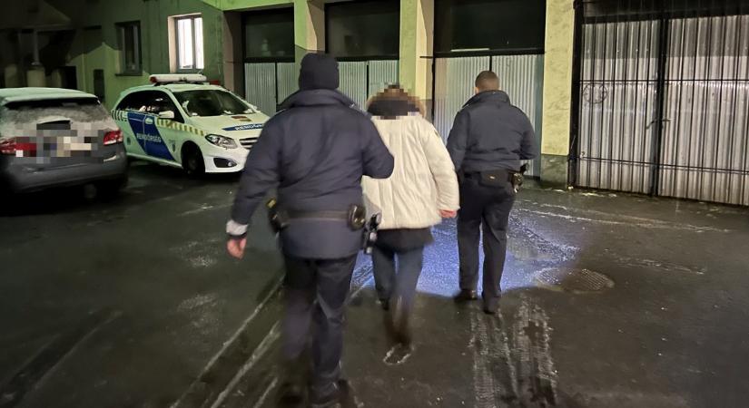 Megijedt, és tanácstalan volt, ezért inkább elhajtott két nő elgázolása után a sofőr Solymárról