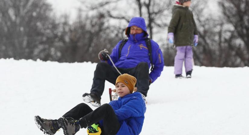 Sokak régi vágya teljesült: fél méter vastag hótakaróba burkolózott a Normafa – fotók