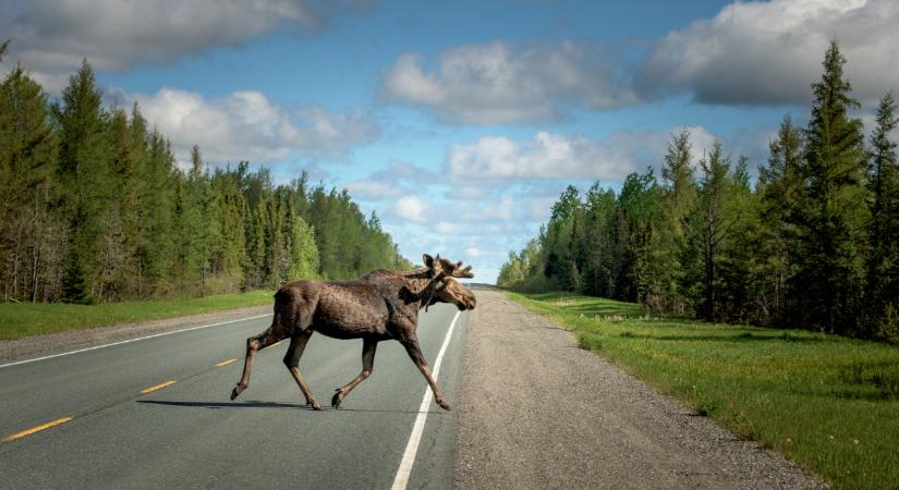A Skandináv lottó nyerőszámai a 49. héten