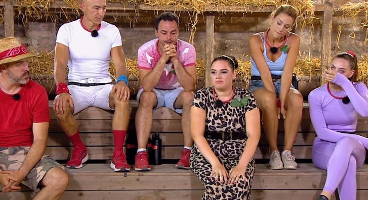 Nagyot csalódott Rippel Ferencben Farm VIP-s csapattársa: „Csak a dollárjel villog a szemében"