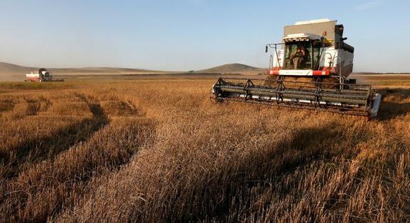 Pénzeső a magyar mezőgazdaságban: 194 milliárd forintot osztottak szét