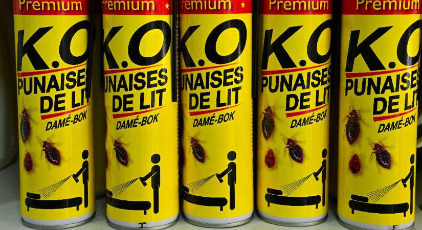 Két francia férfi meglovagolta az ágyipoloska-parát, néhány spriccelésért több száz eurót kértek áldozataiktól