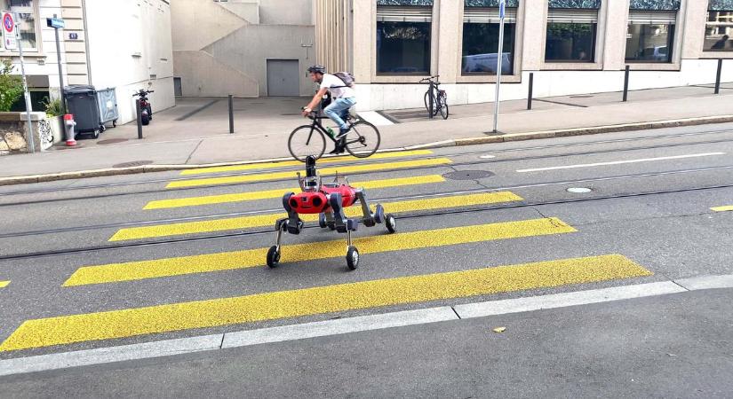 Ez a picike robot szinte mindenre képes, ami egy csomag kiszállításához szükséges