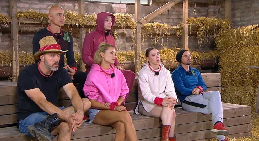 "Szavazzuk meg most!" Megrendült a bizalom Rippel Feriben? Drámai percek a Farm VIP-ben