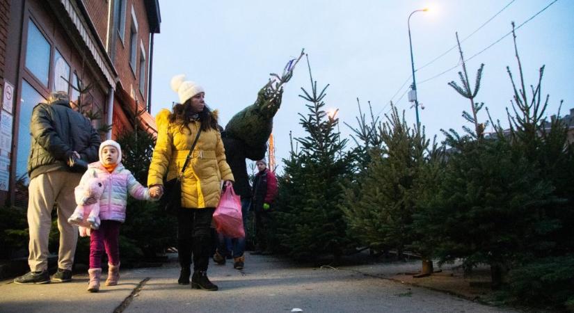 December 24-én ezek az üzletek lesznek nyitva, illetve zárva