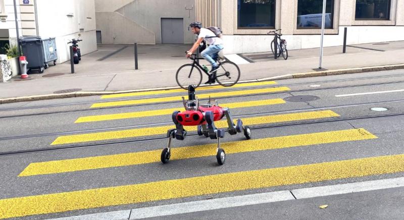 Egyszerre négylábú és humanoid az új svájci robot
