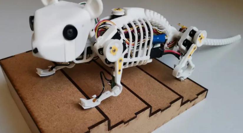 Hajlékony gerinccel a robotegér is gyorsabb