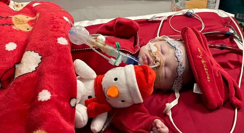 Kétségbeesett küzdelem: egy 3 hetes babának keresnek új szívet, vagy karácsonyig meghal