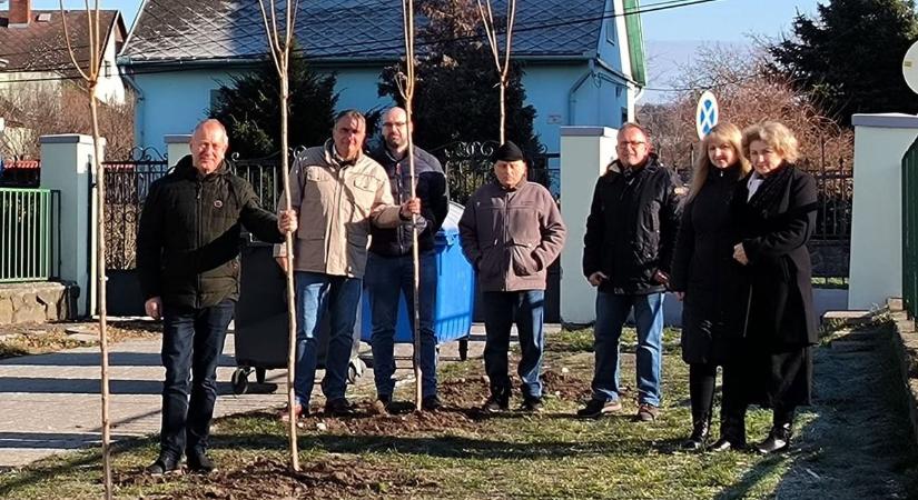 Juharfacsemetéket adományozott a testület a pásztói iskolának