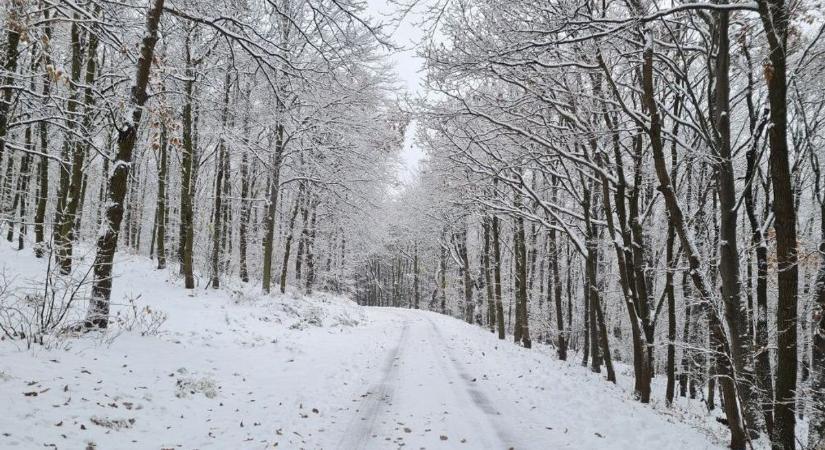 Polgárőrök is a helyszínen - Fokozott balesetveszély a Kőszegi-hegységben!