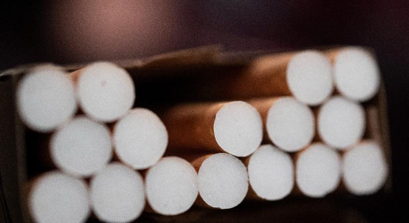 46 ezer doboz cigarettát foglalt le a NAV egy falusi ház kamrájából, a tyúkok mellől