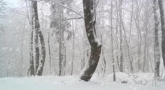 Elő a szánkót...a hegyekben