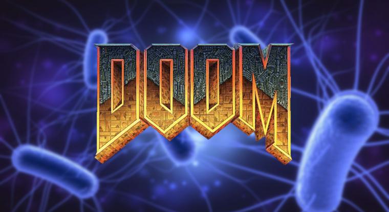 Már baktériumokon is fut a Doom