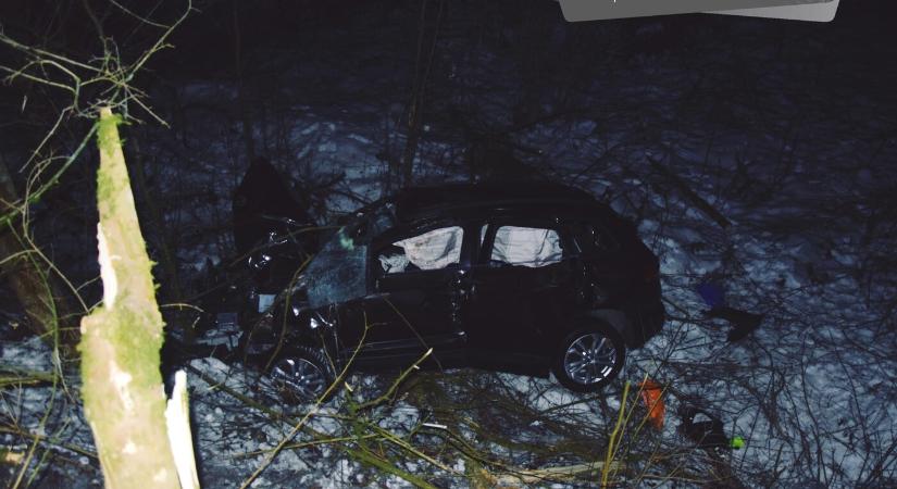 TRAGÉDIA: Fának hajtott, elhunyt a 41 éves sofőr