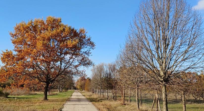 A Zöldvárosi Élményfarm alapítvány végre megkezdte gyakorlati működését!