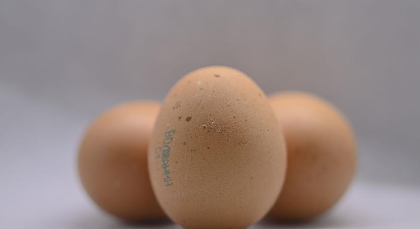 Miért szálltak el az orosz tojás árak?