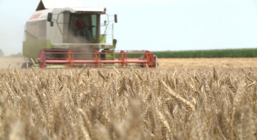 Sikerek és kihívások: Közepes évet zárt Békés vármegye mezőgazdasága