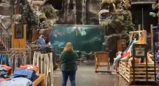 Meztelenül ugrott az akváriumba egy férfi egy alabamai ruhaboltban - videó